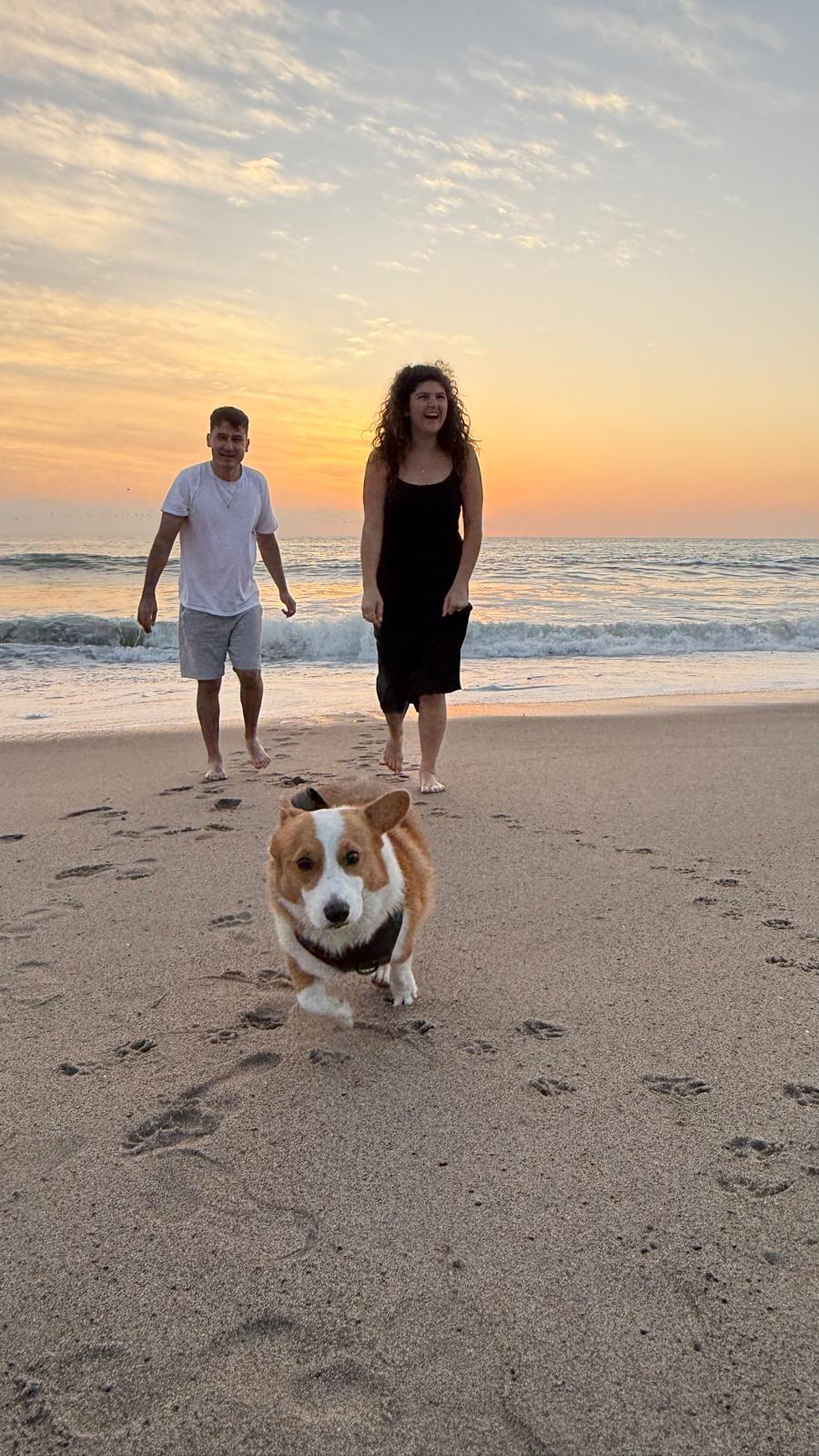 Am Strand mit Hund